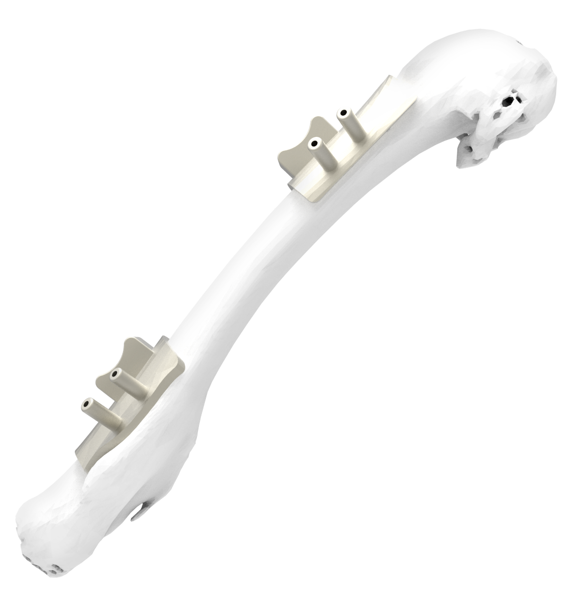 Veterinary implant type 2